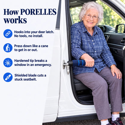 StandEasy™ Car Assist Handle