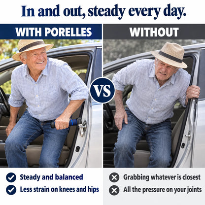 StandEasy™ Car Assist Handle