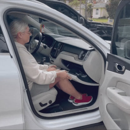 StandEasy™ Car Assist Handle